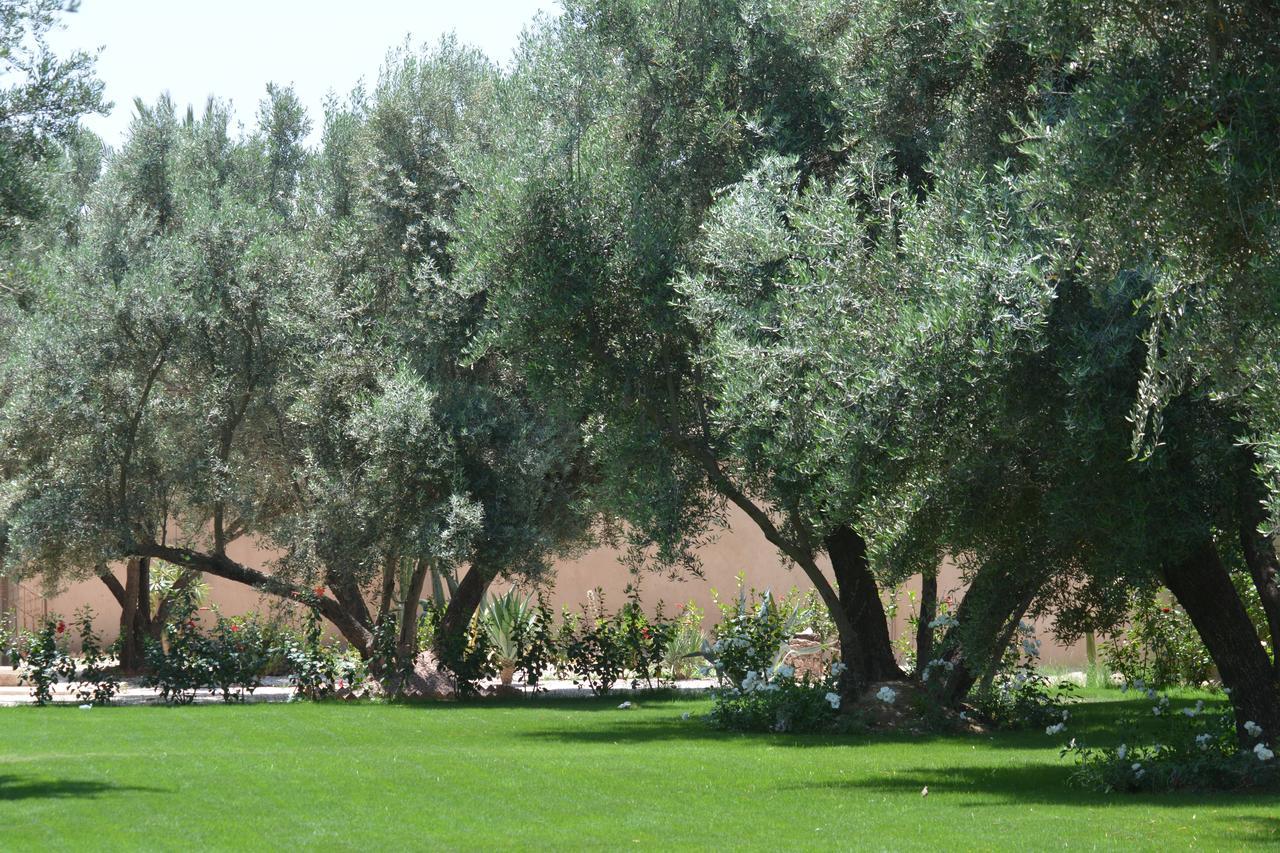 Riad Le Jasmin Тарудант Экстерьер фото